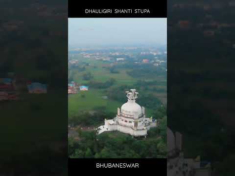 Dahuligiri Shanti Stupa. #shortsindia #bhubaneswar #odisha #sankalpjenashorts #travelshorts