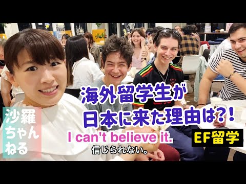 【突撃インタビュー】海外留学生たちが日本に来た意外な答えが面白すぎた。笑