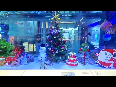 Christmas 2024 at AEON MALL Okinawa Lycam