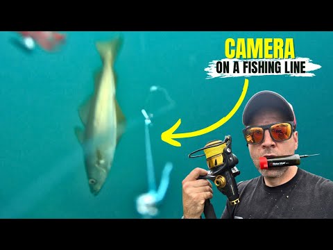 Casting an UNDERWATER FISHING CAMERA into the SEA!  🦈