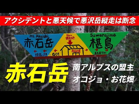 赤石岳 日本百名山 南アルプスの盟主 日本第7位の高峰 アクシデントと悪天候のため荒川三山縦走は断念 オコジョ・お花畑との出会い 2022年8月15～16日