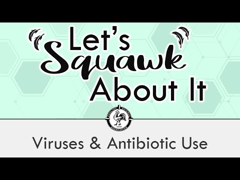 Let's Squawk About It (Ep. 2): Viruses & Antibiotic Use