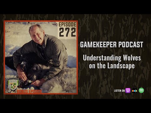 EP:272 | Bonus: Understanding Wolves on the Landscape