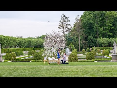 Jenny's Fairy Tale Oheka Castle Proposal