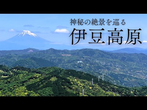 【女ひとり旅】日帰りで伊豆高原の絶景を巡る旅｜大室山360度の大パノラマ｜奇勝・城ヶ崎海岸｜神秘の八幡宮来宮神社