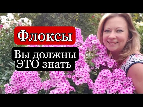 Секреты пышного цветения и ухода за флоксами | Подкормка флоксов