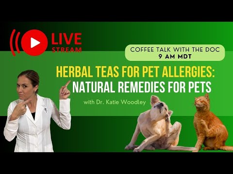 Herbal Teas for Pet Allergies: Natural Remedies for Your Pets