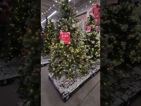 Walking Through The Christmas Tree Lot #Walmart #Christmas #WalmartFinds #Beautiful #ChristmasDecor