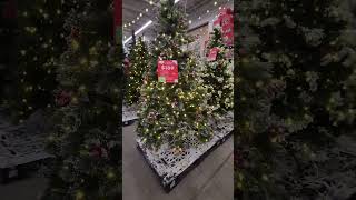 Walking Through The Christmas Tree Lot #Walmart #Christmas #WalmartFinds #Beautiful #ChristmasDecor