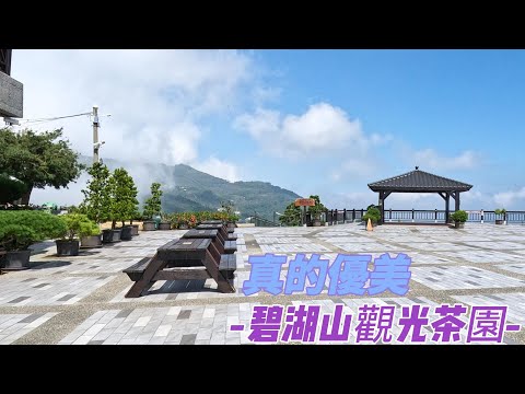 碧湖山茶園可以俯瞰雲林、南投、嘉義和台南四縣的壯麗山景，讓人感受到台灣高山的迷人魅力。