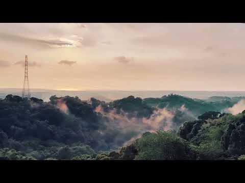 富興茶廠一景：氤氳山嵐