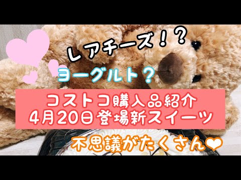 コストコ購入品紹介!真っ白な4月の新スイーツはレアチーズケーキ！？いや、チョコレートタルトなんです！