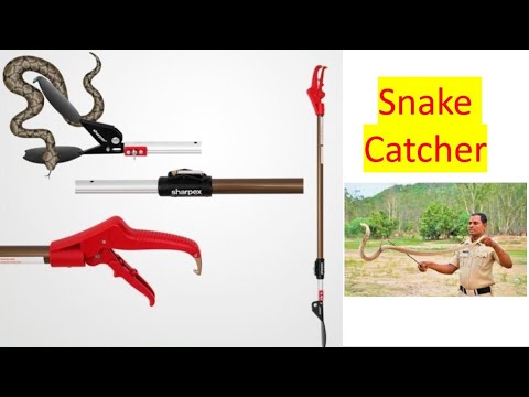 Snake Catcher