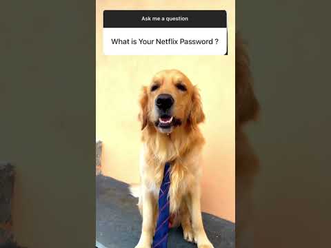 What is my password?