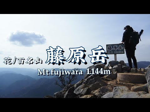 日本三百名山🇯🇵　三重県　藤原岳【山と飯。そして花】