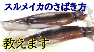 スルメイカのさばき方とアニサキス対策～刺身、肝焼き～