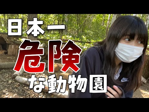 北海道第２段！ママと一緒に日本一危険な動物園