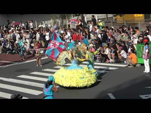 浅草サンバカーニバル2019 セレージャ  『 Flor de Matsudo Cereja 』