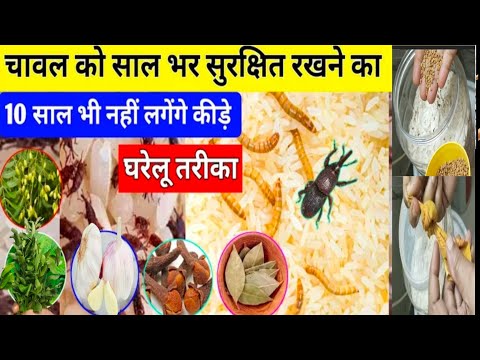 चावल स्टोर कैसे करें/सुरसुरी लग गई क्या करूं| How To Get Rid Of Worms In Rice ,How To Store Rice