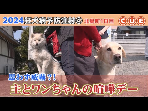 2024狂犬病予防注射　北島町でひっそり行われたワンコたちの戦い④