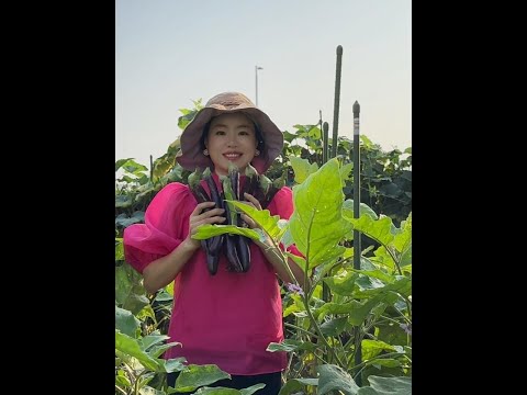 No wonder I feel that there are eggplants everywhere in my home. How can I eat this output?# tens o