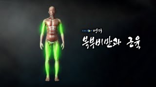 [명의 의학백과📖] 복부비만과 근육