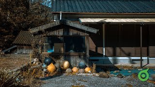 【住宿@日本】鹿兒島鰻溫泉 指宿周邊自駕秘境