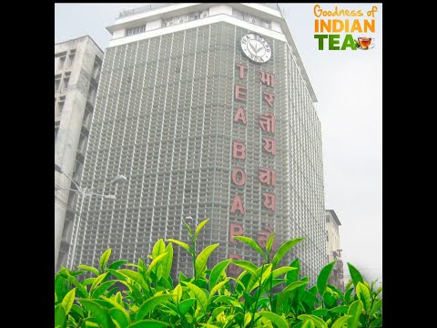 Indian teas are celebrated globally for their fine  flavours and premium quality.