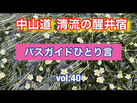 バスガイドひとり言 vol.40  中山道 清流の醒井宿