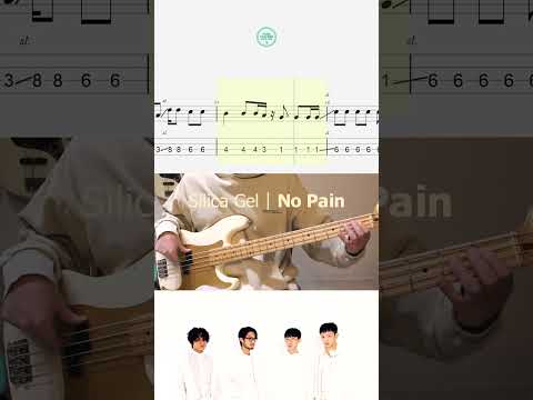 베이스로 쳐보기 좋은 곡│실리카겔 - NO PAIN