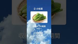 ほぼ1年中栽培OK！プランターでできる葉物野菜をご紹介#short #農業 #農業女子 #農業好きな人と繋がりたい #農機具 #農家 #家庭菜園 #家庭菜園初心者 #家庭菜園ライフ