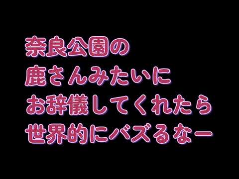 白猫横断妨害しかけ