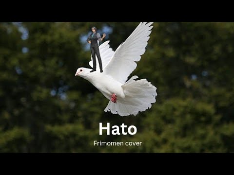 [SynthV] Hato - Hadano-P (Frimomen Cover)