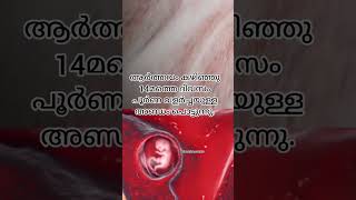 അണ്ഡം പൊട്ടുന്ന ഈ സമയം ഇത് കൂടെ നോക്കുക.. 🤰🤰#baby #pregnancy #shorts #short