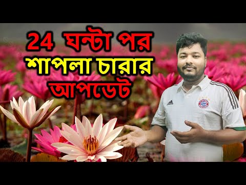 24 ঘন্টা পর শাপলা চারার আপডেট | Mahid Dream Zoo