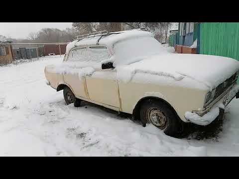 НАСТРОЕНИЕ ЗИМНЕЙ СКАЗКИ/ХОЗ.ДВОР/СБОР ЯИЦ/ДИЧЬ.