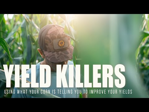 UNLOCK YIELDS: Splitting Corn Stalks - Make Your Soil Healthier and MORE PROFITABLE!!