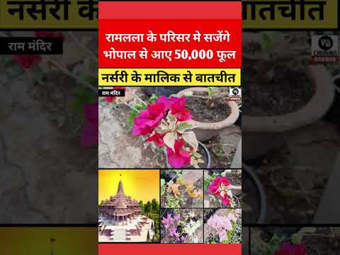 अयोध्या के रामलला का परिसर भोपाल की नर्सरी के फूलो से सजेगा | ram mandir ayodhya update