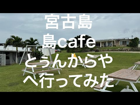 【宮古島】島cafe とぅんからや 2024/11/12