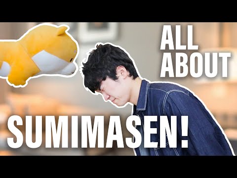 Why do Japanese people APOLOGIZE so much? | Easy Japanese