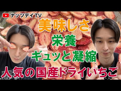 【再入荷！国産ドライいちご】美味しさギュッと凝縮！ドライフルーツのいちご🍓