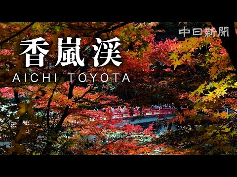 Autumn Leaves at Their Peak in Late November at Korankei, Toyota, Aichi