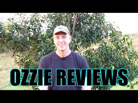 Ozzie Reviews Q & A - Episode #60 (what's new check it out!)