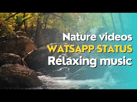 Sounds of Nature/Nature videos status