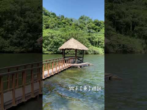 桃園免費景點 三坑自然生態公園