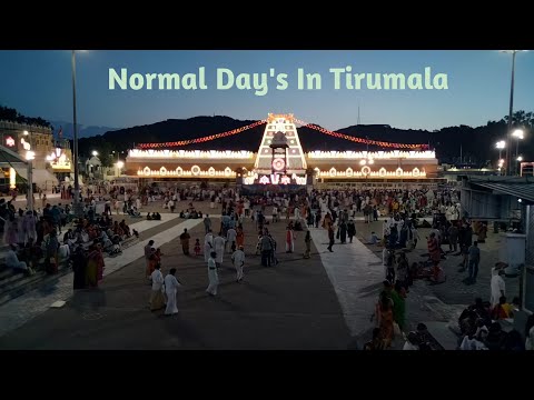 Normal Days in Tirumala || Sri Tirumala Venkateswara Swamy Temple Darsana Video