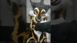 BEST Furry TikToks compilation 0453 #shorts #furrytiktok #furry  #funnyvideo  #youtube