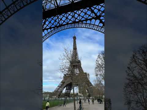 "Iconic Eiffel Tower Gets a Daring New Companion: Meet 'Eiffela'"