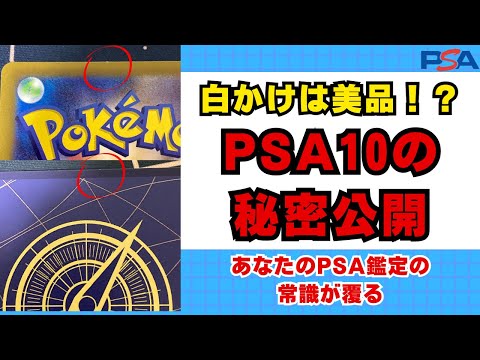 【ポケモンカード】白かけは美品！？PSA鑑定の秘密大公開【PSA10】