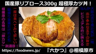 JR相模原駅『六かつ』国産豚リブロース300g！超極厚カツ丼を食す！ #相模原 #かつ丼 #カツ丼 #相模原市 #グルメ